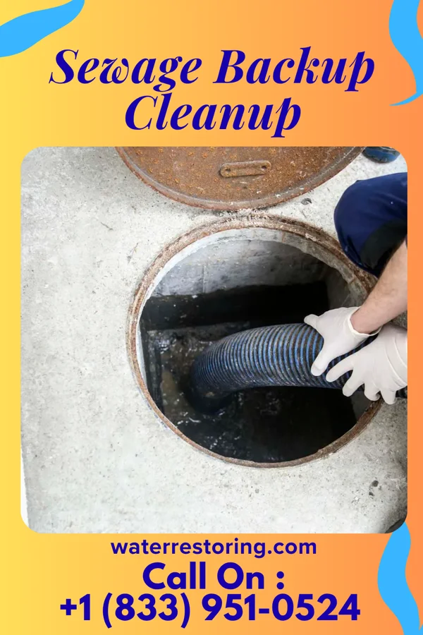 Sewage Backup Cleanup in Cary, NC